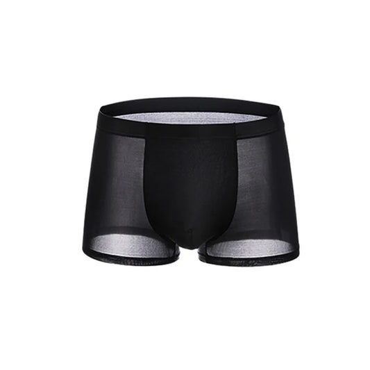 Men's Sheer Boxer Briefs 3-Pack