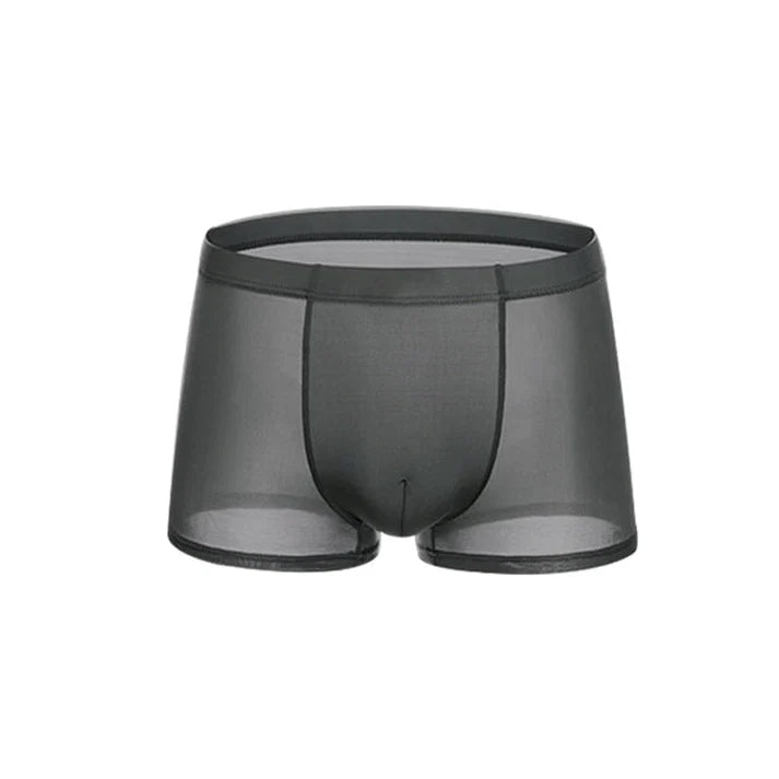 Men's Sheer Boxer Briefs 3-Pack