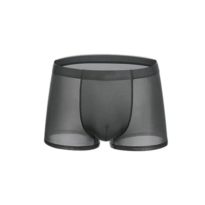 Men's Sheer Boxer Briefs 3-Pack