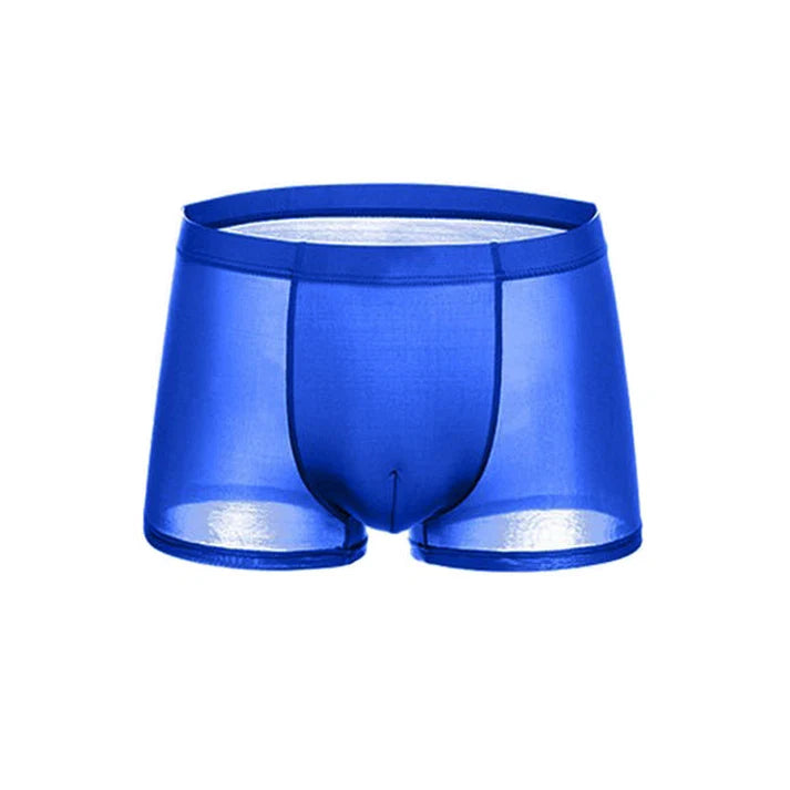 Men's Sheer Boxer Briefs 3-Pack