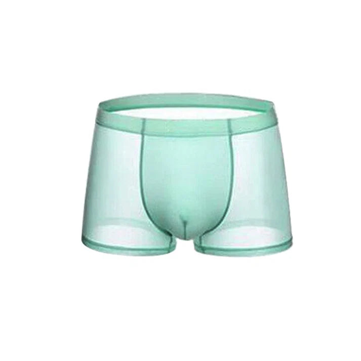 Men's Sheer Boxer Briefs 3-Pack
