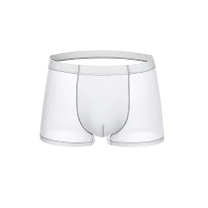 Men's Sheer Boxer Briefs 3-Pack