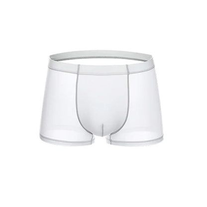 Men's Sheer Boxer Briefs 3-Pack