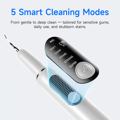 Electric Oral Care Tool Set