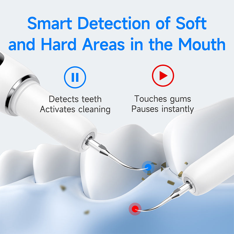 Electric Oral Care Tool Set
