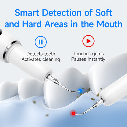 Electric Oral Care Tool Set